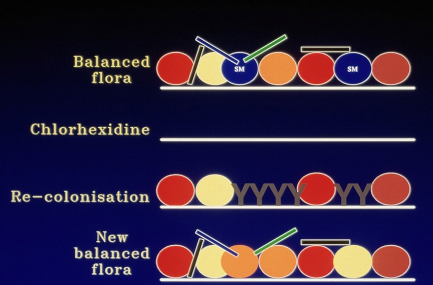 Prevention of Streptococcus mutans regrowth
