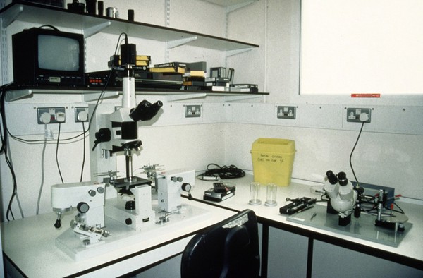 Embryo biopsy lab