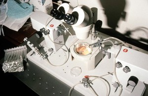 view Embryo biopsy lab