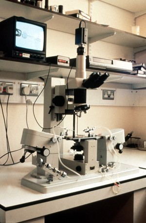 view Embryo biopsy lab