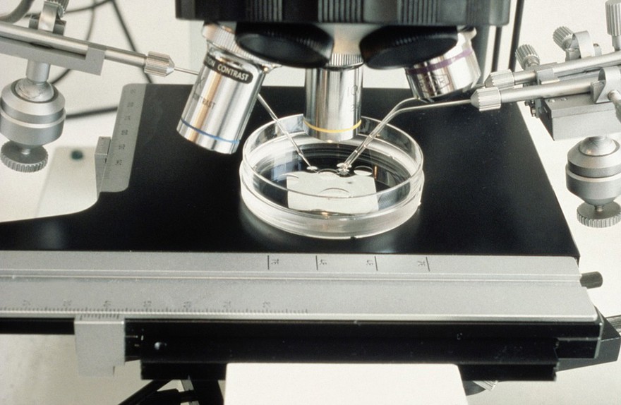 Embryo manipulation equipment