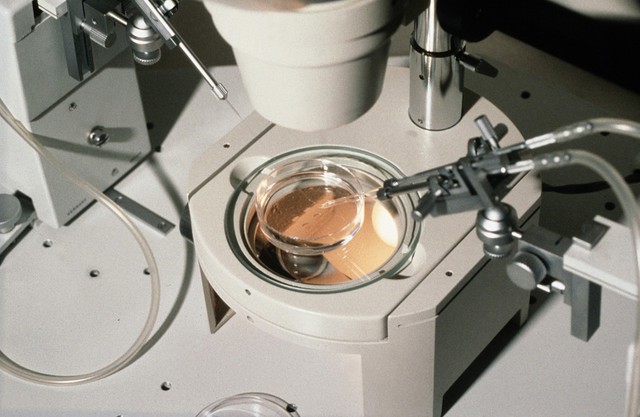 Embryo manipulation equipment