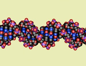 view DNA double helix