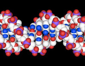 view DNA double helix