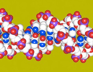 view DNA double helix