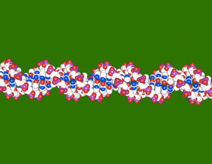 DNA double helix