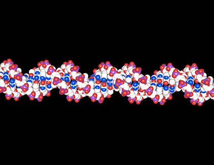 DNA double helix