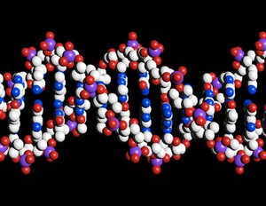 view DNA double helix