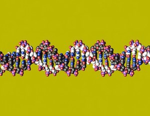 view DNA double helix