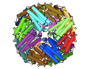 view Ferritin - molecular model