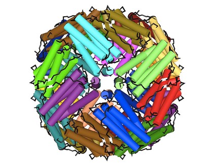 Ferritin - molecular model