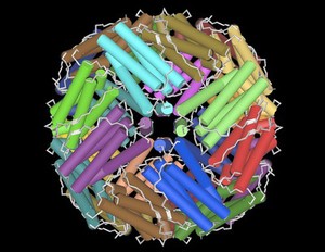 view Ferritin - molecular model