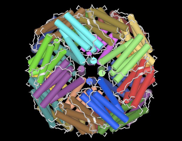 Ferritin - molecular model