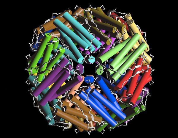 Ferritin - molecular model