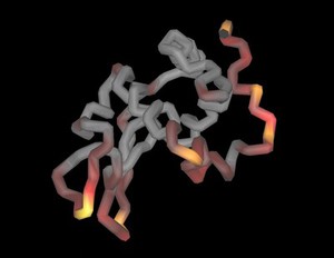 view model of human lysozyme