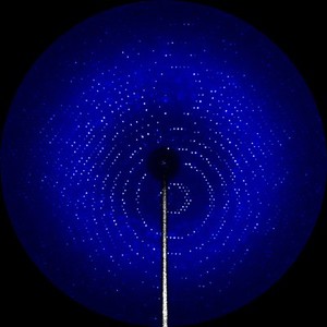 view X-ray diffraction pattern of the enzyme glutamate