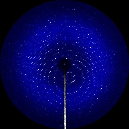 X-ray diffraction pattern of the enzyme glutamate
