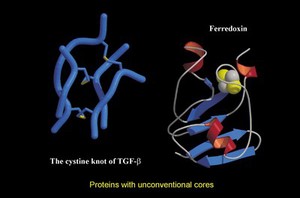 view Models of protins with unconventional cores