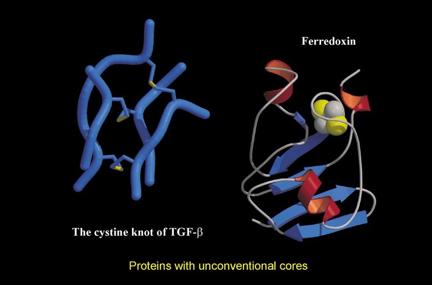 Models of protins with unconventional cores