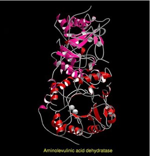 view Aminolevulinic acid