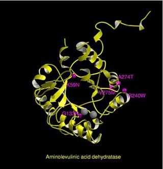 Aminolevulinic acid