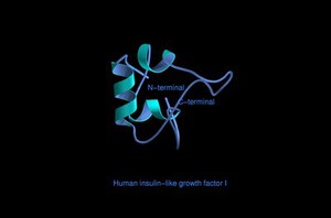 view Human insulin-like growth factor 1,mol.model