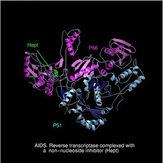 AIDS, reverse transcriptase/Hept complex
