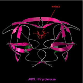 AIDS, HIV proteinase with inhibitor, m.model