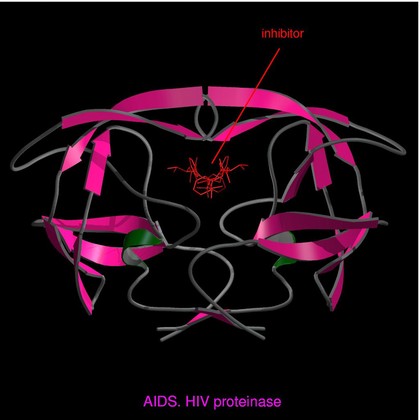 AIDS, HIV proteinase with inhibitor, m.model