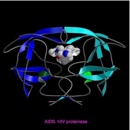 AIDS, HIV proteinase, molecular model