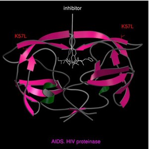 view AIDS, HIV proteinase with inhibitor, m.model