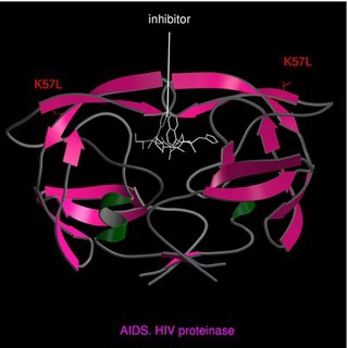 AIDS, HIV proteinase with inhibitor, m.model