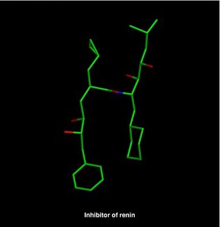 Molecular model of renin inhibitor