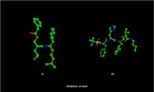 view Molecular models of renin inhibitors