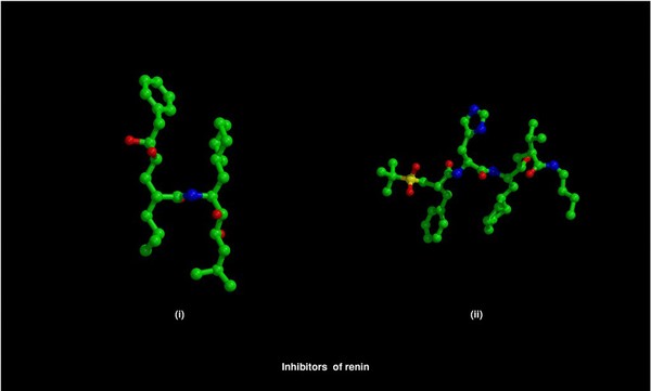 Molecular models of renin inhibitors