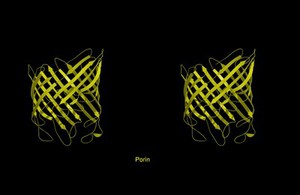 view Molecular model of porin, stereo,ribbon diag