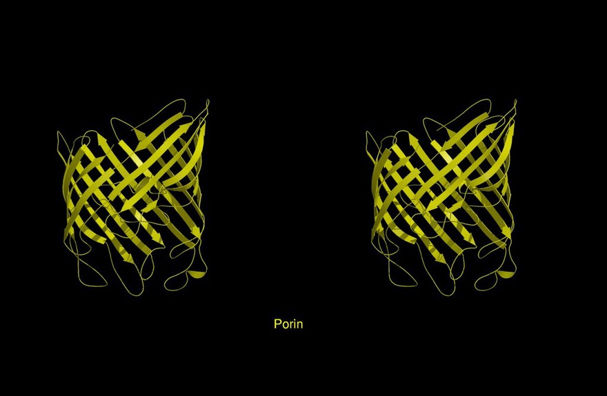 Molecular model of porin, stereo,ribbon diag