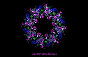 view Molecular model of light-harvesting complex of