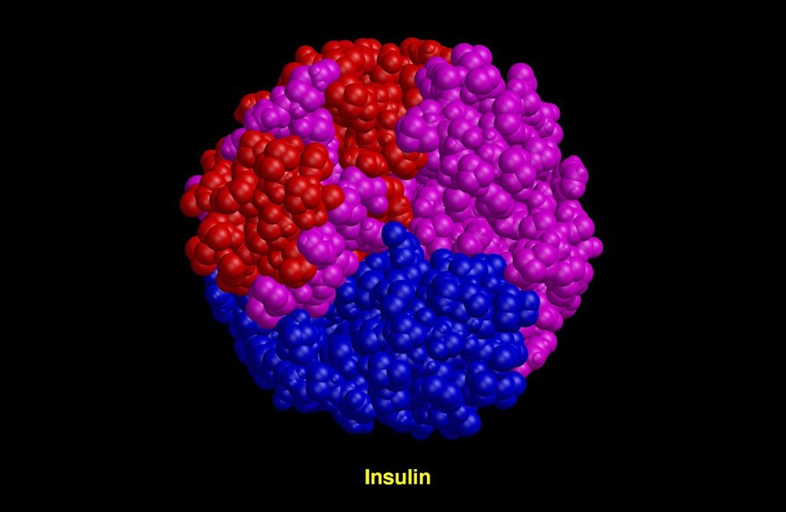 cpk representation of insulin molecule
