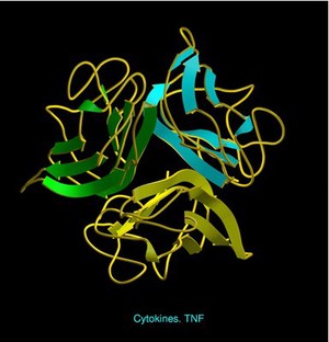 view Tumour Necrosis Factor - cytokine