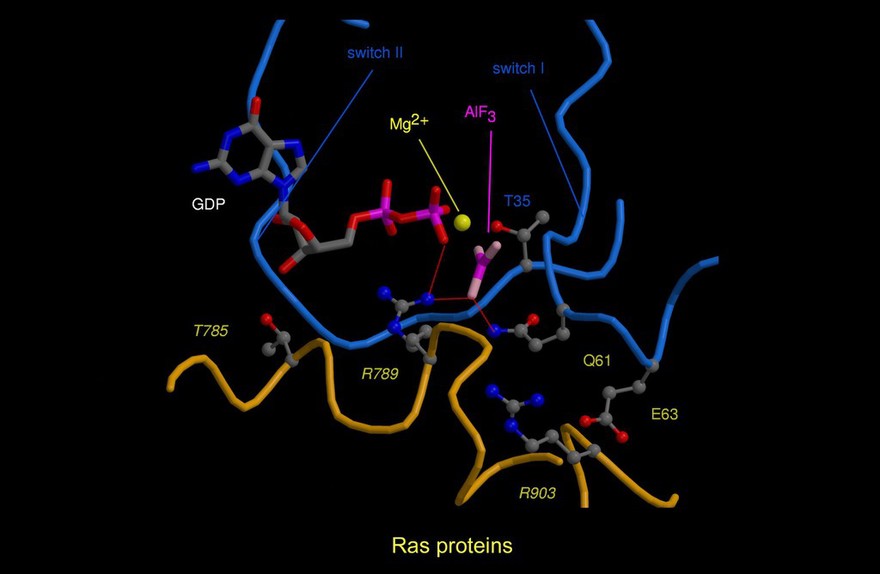 G protein/Ras-RasGAP complex, mol. model
