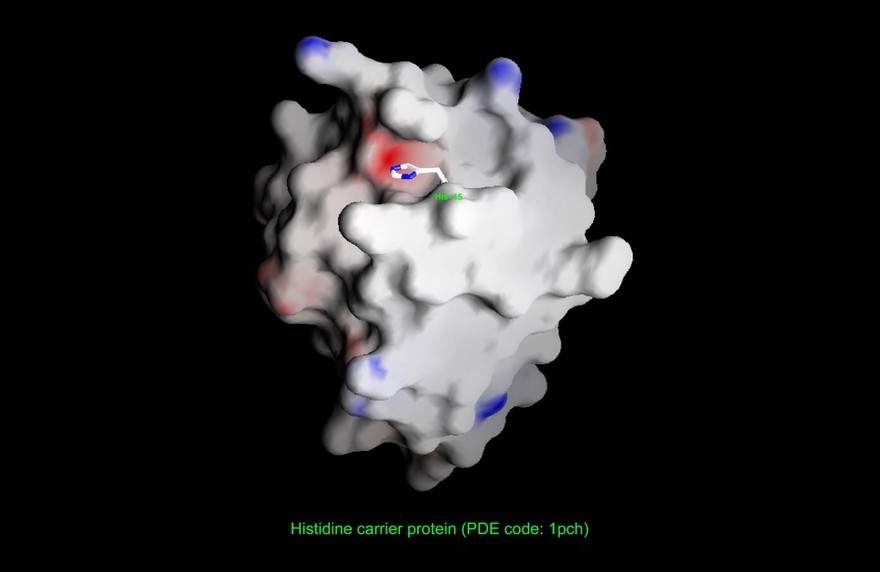 Histidine phosphocarrier protein surface pot