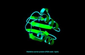 view Histidine phosphocarrier protein, mol. model