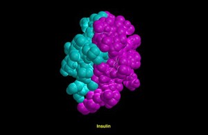 view Molecular model of insulin molecule