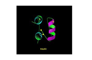 view Molecular model of insulin molecule