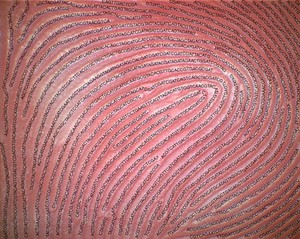 view Genetic fingerprinting - print + sequence