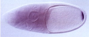 view Drosophila embryo polarity - bicoid mRNA