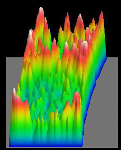Drosophila development, calcium distribution