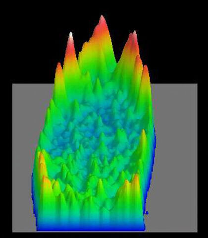 Calcium/cell cycle changes, Drosophila development