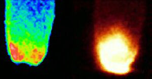 view Calcium changes/inositol phosphate in Drosophila development